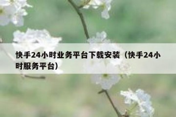 快手24小时业务平台下载安装（快手24小时服务平台）