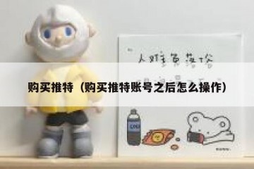 购买推特（购买推特账号之后怎么操作）