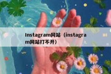 Instagram网站（instagram网站打不开）