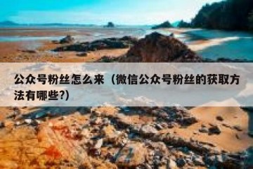 公众号粉丝怎么来（微信公众号粉丝的获取方法有哪些?）