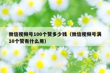 微信视频号100个赞多少钱（微信视频号满10个赞有什么用）