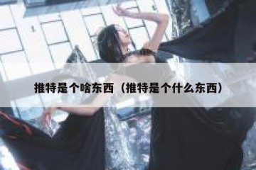 推特是个啥东西（推特是个什么东西）