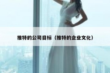 推特的公司目标（推特的企业文化）