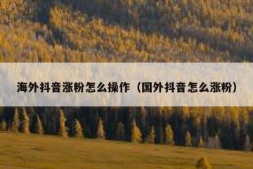 海外抖音涨粉怎么操作（国外抖音怎么涨粉）