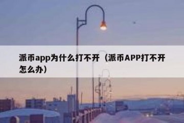派币app为什么打不开（派币APP打不开怎么办）