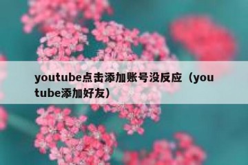 youtube点击添加账号没反应（youtube添加好友）