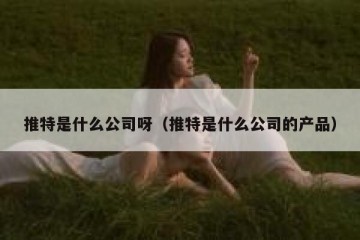 推特是什么公司呀（推特是什么公司的产品）