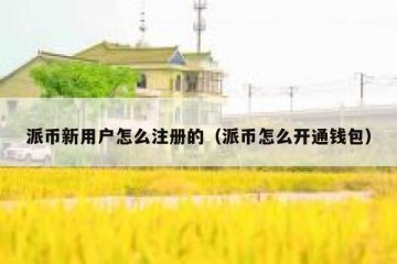 派币新用户怎么注册的（派币怎么开通钱包）