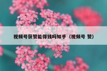 视频号获赞能得钱吗知乎（视频号 赞）