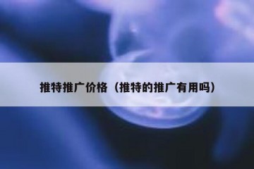 推特推广价格（推特的推广有用吗）