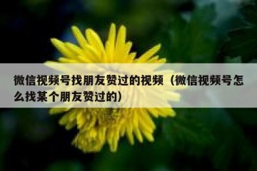 微信视频号找朋友赞过的视频（微信视频号怎么找某个朋友赞过的）