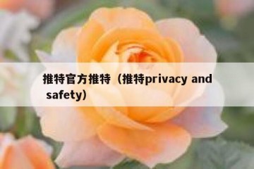 推特官方推特（推特privacy and safety）