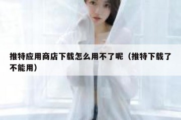 推特应用商店下载怎么用不了呢（推特下载了不能用）