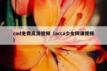 cad免费高清视频（acca少女网课视频）