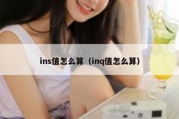 ins值怎么算（inq值怎么算）