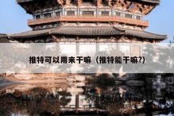 推特可以用来干嘛（推特能干嘛?）