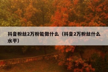 抖音粉丝2万粉能做什么（抖音2万粉丝什么水平）