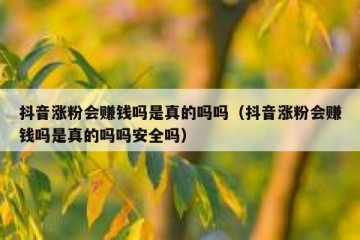 抖音涨粉会赚钱吗是真的吗吗（抖音涨粉会赚钱吗是真的吗吗安全吗）