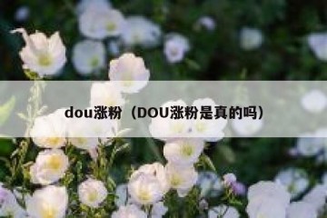 dou涨粉（DOU涨粉是真的吗）