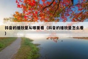 抖音的播放量从哪里看（抖音的播放量怎么看）