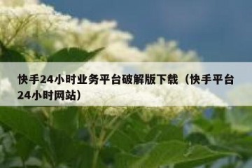 快手24小时业务平台破解版下载（快手平台24小时网站）