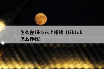 怎么在tiktok上赚钱（tiktok 怎么挣钱）