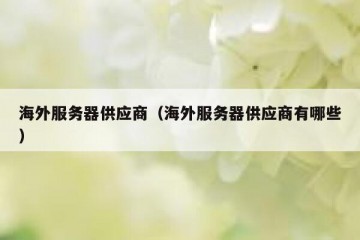 海外服务器供应商（海外服务器供应商有哪些）