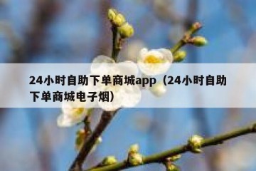 24小时自助下单商城app（24小时自助下单商城电子烟）