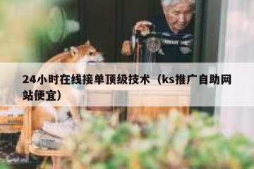 24小时在线接单顶级技术（ks推广自助网站便宜）