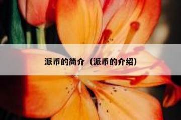 派币的简介（派币的介绍）