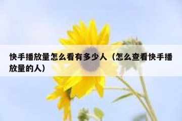 快手播放量怎么看有多少人（怎么查看快手播放量的人）