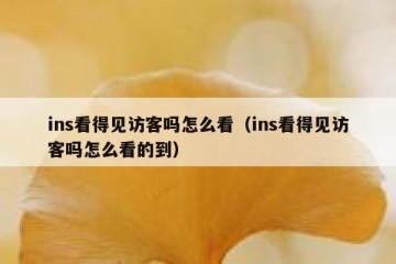 ins看得见访客吗怎么看（ins看得见访客吗怎么看的到）