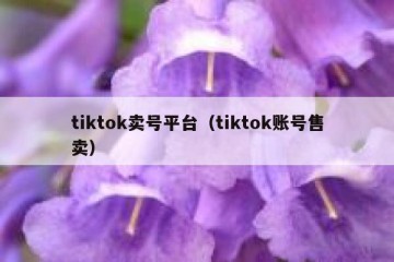 tiktok卖号平台（tiktok账号售卖）