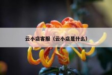 云小店客服（云小店是什么）