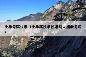 快手号买快手（快手买快手粉条别人能看见吗）