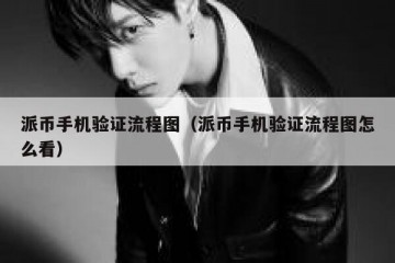 派币手机验证流程图（派币手机验证流程图怎么看）