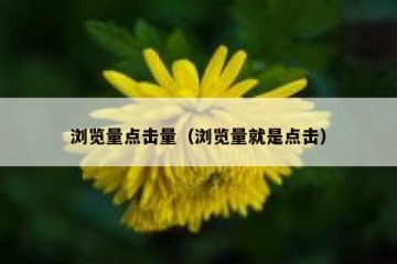 浏览量点击量（浏览量就是点击）