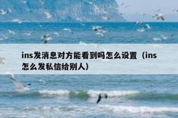 ins发消息对方能看到吗怎么设置（ins怎么发私信给别人）