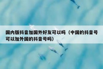 国内版抖音加国外好友可以吗（中国的抖音号可以加外国的抖音号吗）