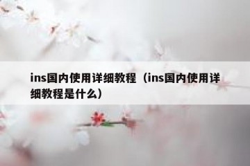 ins国内使用详细教程（ins国内使用详细教程是什么）