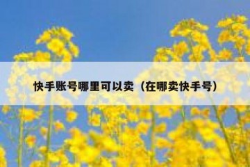 快手账号哪里可以卖（在哪卖快手号）