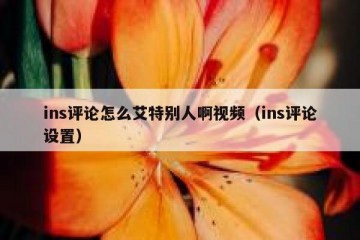 ins评论怎么艾特别人啊视频（ins评论设置）
