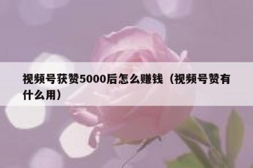视频号获赞5000后怎么赚钱（视频号赞有什么用）