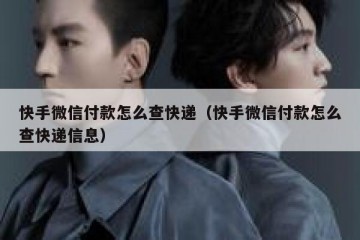 快手微信付款怎么查快递（快手微信付款怎么查快递信息）