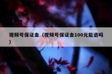 视频号保证金（视频号保证金100元能退吗）