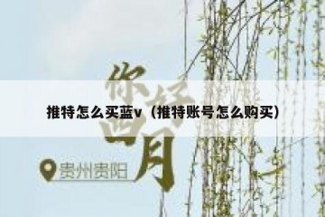 推特怎么买蓝v（推特账号怎么购买）