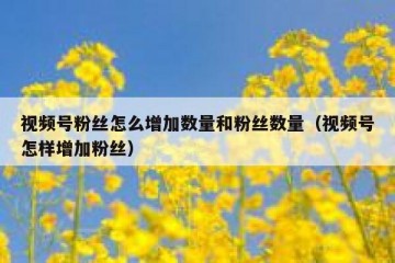 视频号粉丝怎么增加数量和粉丝数量（视频号怎样增加粉丝）