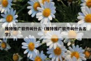 推特推广软件叫什么（推特推广软件叫什么名字）