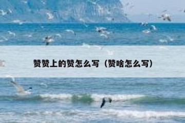 赞赞上的赞怎么写（赞啥怎么写）