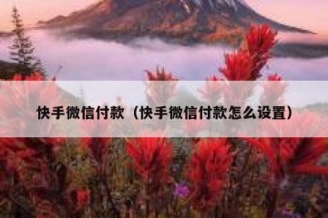 快手微信付款（快手微信付款怎么设置）